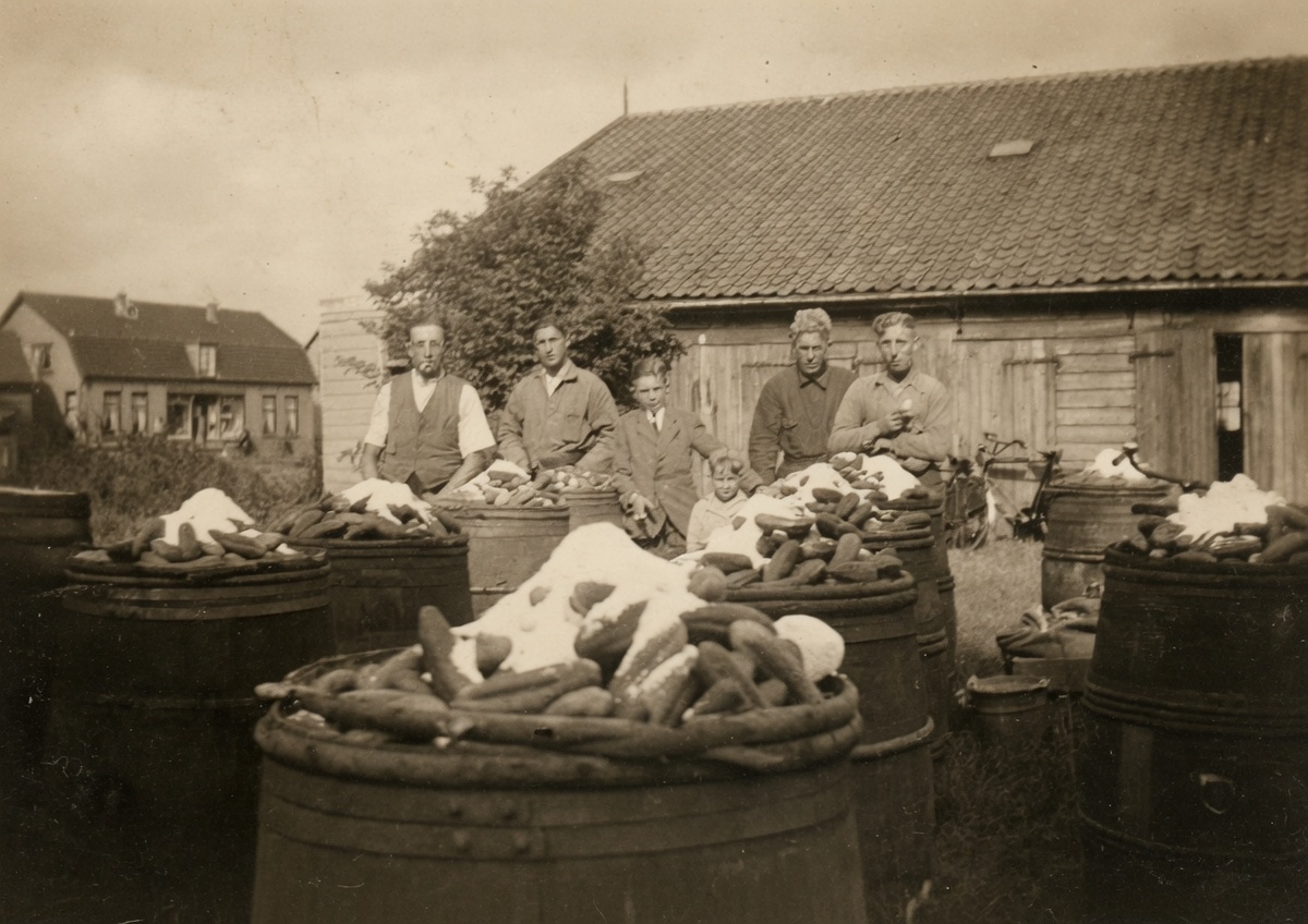 Augurken pekelen in het historische bedrijfsalbum van Uijttewaal.