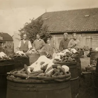 Augurken pekelen in het historische bedrijfsalbum van Uijttewaal.